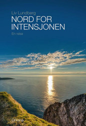 Nord for intensjonen av Liv Lundberg (Heftet)