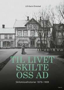 Til livet skilte oss ad av Lill-Karin Elvestad (Innbundet)