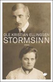 Stormsinn av Ole Kristian Ellingsen (Ebok)