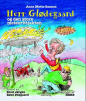Herr Glødegaard og den store meteorittjakten av Anne Mette Sannes (Innbundet)