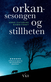 Orkansesongen og stillheten av Anne-Cathrine Riebnitzsky (Ebok)