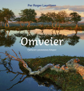 Omslag - Omveier