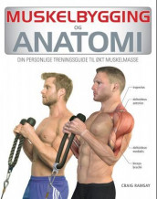 Anatomi og muskelbygging av Craig Ramsay (Heftet)