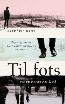 Til fots av Frédéric Gros (Heftet)