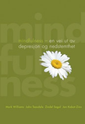 Mindfulness av Jon Kabat-Zinn, Zindel Segal, John Teasdale og Mark Williams (Heftet)