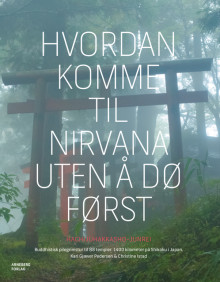 Hvordan komme til Nirvana uten å dø først av Christine Istad og Kari Gjæver Pedersen (Innbundet)