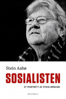 Sosialisten av Stein Aabø (Ebok)