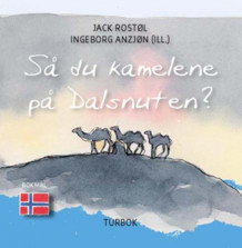 Så du kamelene på Dalsnuten av Jack Rostøl (Innbundet)