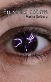 En stille storm av Marita Solberg (Ebok)