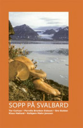 Sopp på Svalbard av Tor Carlsen, Pernille Bronken Eidesen, Gro Gulden, Klaus Høiland og Kolbjørn Mohn Jenssen (Innbundet)