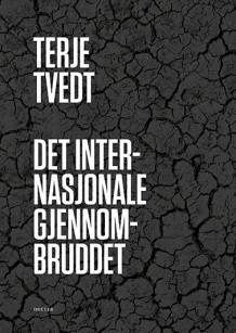 Det internasjonale gjennombruddet av Terje Tvedt (Innbundet)