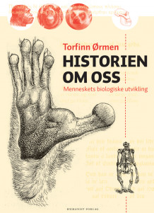 Historien om oss av Torfinn Ørmen (Ebok)