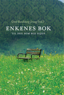Enkenes bok av Grete Randsborg Jenseg (Ebok)
