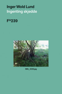 Ingenting skjedde av Inger Wold Lund (Ebok)