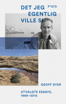 Det jeg egentlig ville si av Geoff Dyer (Heftet)