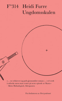 Ungdomsskulen av Heidi Furre (Heftet)