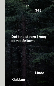 Det fins et rom i meg som står tomt av Linda Klakken (Ebok)