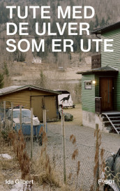 Tute med de ulver som er ute av Ida Marie Haugen Gilbert (Innbundet)