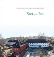Son under Son av Reidun Aasheim, Finn-Einar Eliassen og Marianne Johansson (Innbundet)