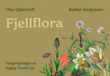 Fjellflora av Inger Gjærevoll, Olav Gjærevoll og Reidar Jørgensen (Heftet)