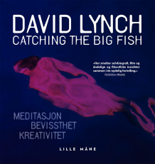 Catching the big fish av David Lynch (Innbundet)