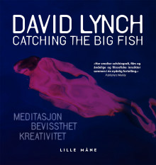 Catching the big fish av David Lynch (Innbundet)