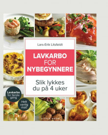 Lavkarbo for nybegynnere av Karin Hvoslef og Lars-Erik Litsfeldt (Ebok)