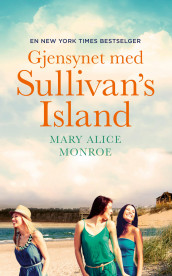 Gjensynet med Sullivan's Island av Mary Alice Monroe (Ebok)