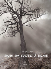 Solen som sluttet å skinne av Tina Øvland (Heftet)