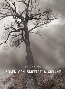 Solen som sluttet å skinne av Tina Øvland (Heftet)
