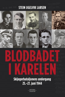 Blodbadet i Karelen av Stein Ugelvik Larsen (Innbundet)