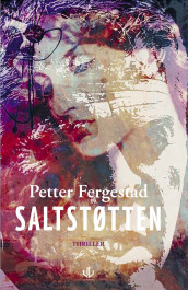 Saltstøtten av Petter Fergestad (Innbundet)