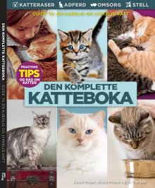 Den komplette katteboka av David Meyer, Abbie Moore og Pia Salk (Heftet)