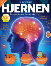 Slik virker hjernen (Heftet)