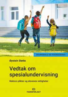 Vedtak om spesialundervisning av Øystein Stette (Heftet)
