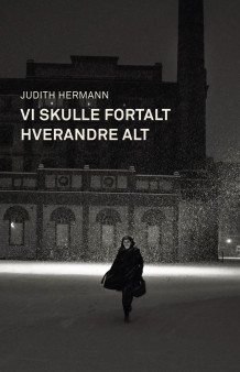 Vi skulle fortalt hverandre alt av Judith Hermann (Ebok)