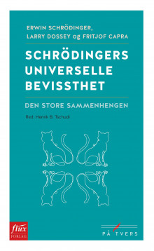 Schrödingers universelle bevissthet av Erwin Schrödinger, Larry Dossey og Fritjof Capra (Heftet)