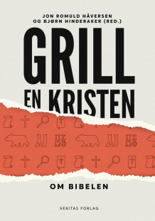 Grill en kristen av Jon Romuld Håversen og Bjørn Hinderaker (Heftet)