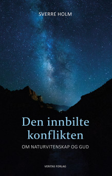 Den innbilte konflikten av Sverre Holm (Heftet)