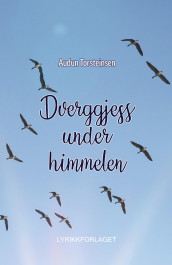 Dverggjess under himmelen av Audun Torsteinsen (Innbundet)