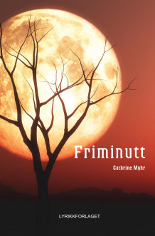 Friminutt av Cathrine Myhr (Innbundet)