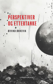 Perspektiver og ettertanke av Øivind Ørnevik (Innbundet)