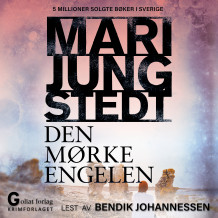 Den mørke engelen av Mari Jungstedt (Nedlastbar lydbok)
