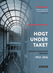 Høgt under taket (Innbundet)