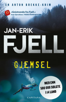 Gjemsel av Jan-Erik Fjell (Heftet)