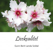 Livskvalitet av Gunn Berit Landa Soldal (Innbundet)