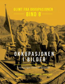 Glimt fra okkupasjonen av Erik Ettrup, Odin Leirvåg, Atle Skarsten, Hjalmar Inge Sunde og Tor Ødemotland (Innbundet)