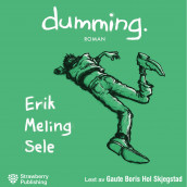 Dumming av Erik Meling Sele (Nedlastbar lydbok)