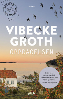 Oppdagelsen av Vibecke Groth (Innbundet)