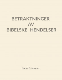 Betraktninger av bibelske hendelser av Søren Grønborg Hansen (Innbundet)